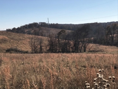 Ozark Property, Farm Land - image 10