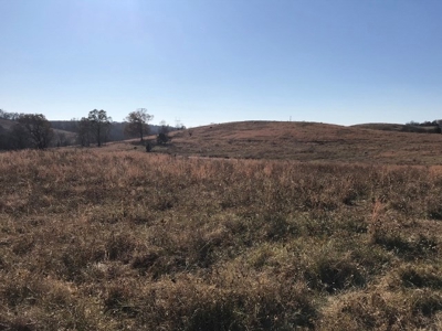 Ozark Property, Farm Land - image 5