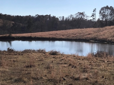 Ozark Property, Farm Land - image 13