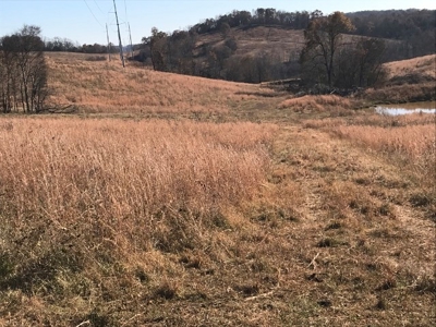 Ozark Property, Farm Land - image 11