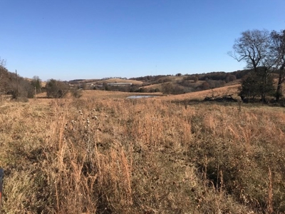 Ozark Property, Farm Land - image 8