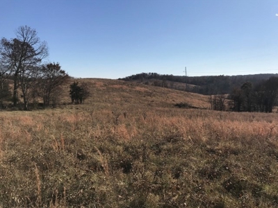 Ozark Property, Farm Land - image 7