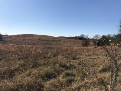Ozark Property, Farm Land - image 4