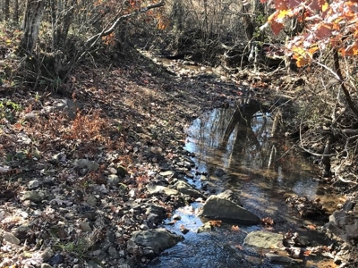 Ozark Property, Farm Land - image 2