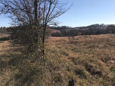 Ozark Property, Farm Land - image 3