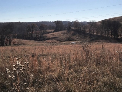 Ozark Property, Farm Land - image 9