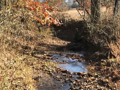 Ozark Property, Farm Land - image 14