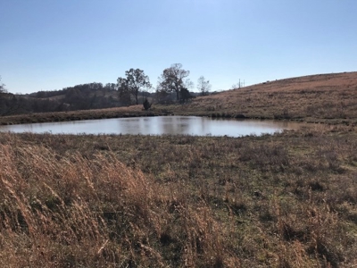 Ozark Property, Farm Land - image 6