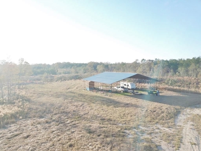 Hunting Land for Sale Sandy Hook, Marion Co, Southwest MS - image 15