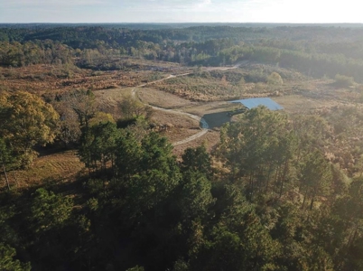 Hunting Land for Sale Sandy Hook, Marion Co, Southwest MS - image 12