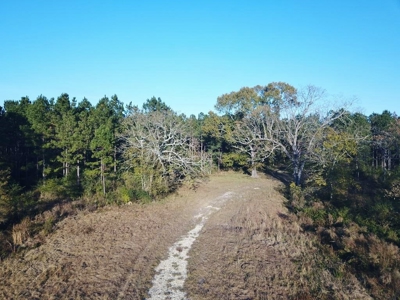 Hunting Land for Sale Sandy Hook, Marion Co, Southwest MS - image 16