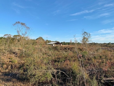 Hunting Land for Sale Sandy Hook, Marion Co, Southwest MS - image 40