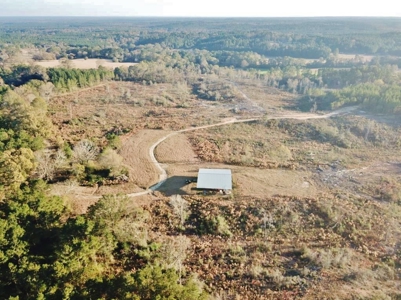 Hunting Land for Sale Sandy Hook, Marion Co, Southwest MS - image 1
