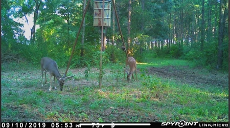Hunting Land for Sale Sandy Hook, Marion Co, Southwest MS - image 25