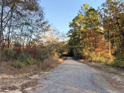 Hunting Land for Sale Sandy Hook, Marion Co, Southwest MS - image 42