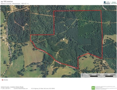 Hunting Land for Sale Sandy Hook, Marion Co, Southwest MS - image 44