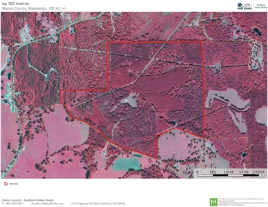 Hunting Land for Sale Sandy Hook, Marion Co, Southwest MS - image 46