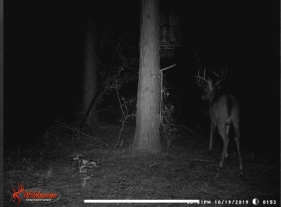 Hunting Land for Sale Sandy Hook, Marion Co, Southwest MS - image 38
