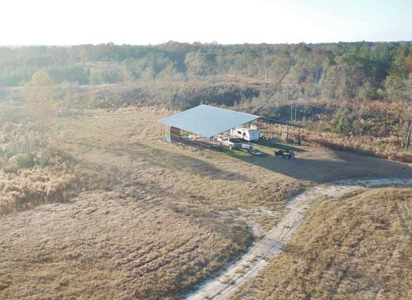 Hunting Land for Sale Sandy Hook, Marion Co, Southwest MS - image 14