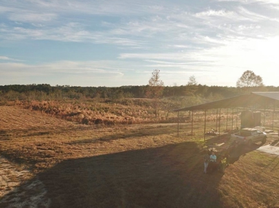 Hunting Land for Sale Sandy Hook, Marion Co, Southwest MS - image 18