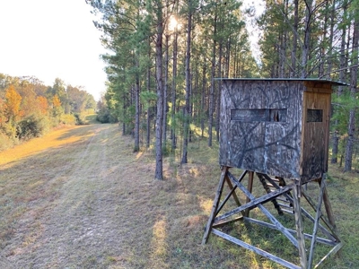 Hunting Land for Sale Sandy Hook, Marion Co, Southwest MS - image 31