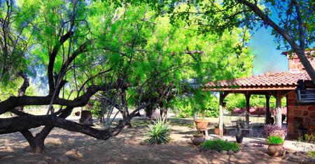 Historic South Texas Hunting Ranch - image 4