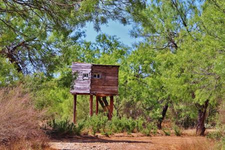 Historic South Texas Hunting Ranch - image 20