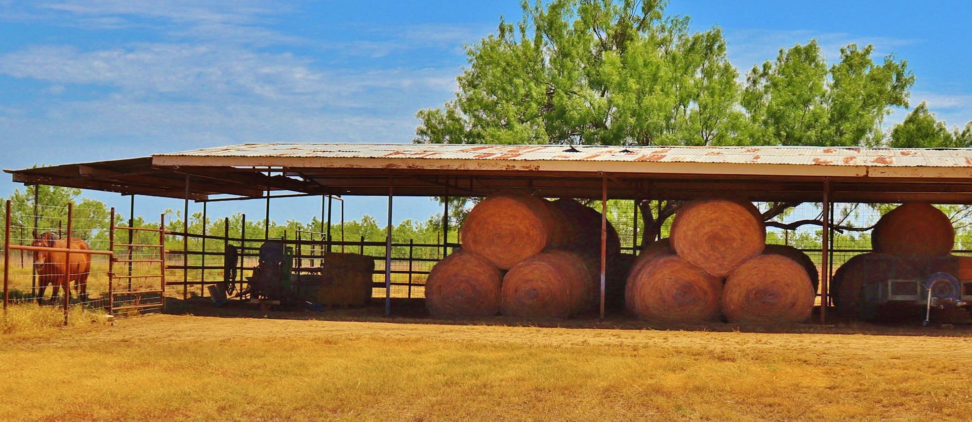 Historic South Texas Hunting Ranch - image 22