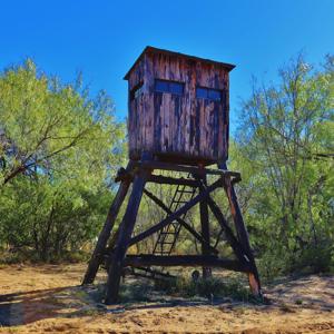 Historic South Texas Hunting Ranch - image 30