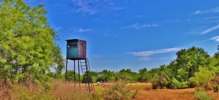 Historic South Texas Hunting Ranch - image 17