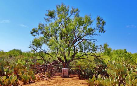 Historic South Texas Hunting Ranch - image 21