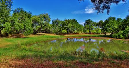 Historic South Texas Hunting Ranch - image 14