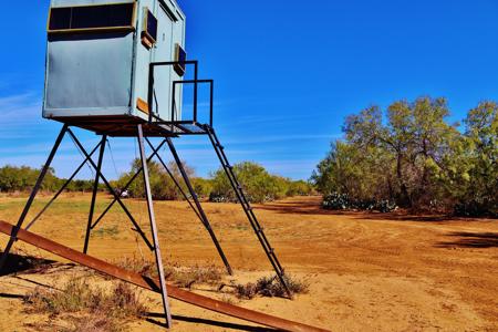 Historic South Texas Hunting Ranch - image 29