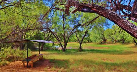 Historic South Texas Hunting Ranch - image 15