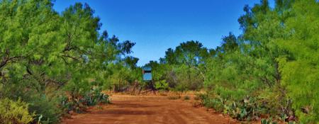 Historic South Texas Hunting Ranch - image 16