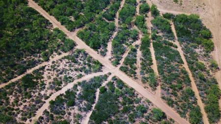 Historic South Texas Hunting Ranch - image 33