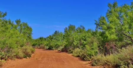 Historic South Texas Hunting Ranch - image 13