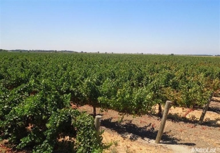 Northern California Vineyard Properties For Sale - image 1