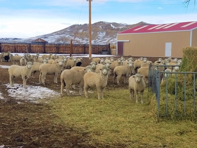 Cattle Ranch With Stunning Views For Sale in Northwest WY - image 11