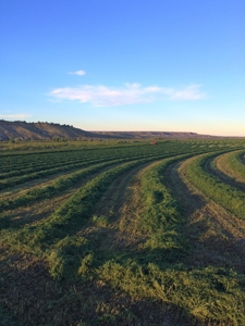 Cattle Ranch With Stunning Views For Sale in Northwest WY - image 5