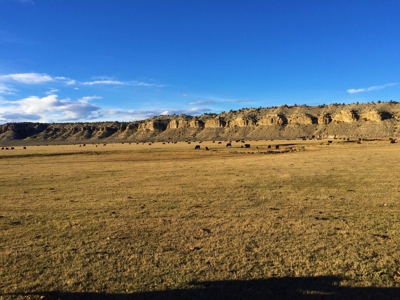 Cattle Ranch With Stunning Views For Sale in Northwest WY - image 2