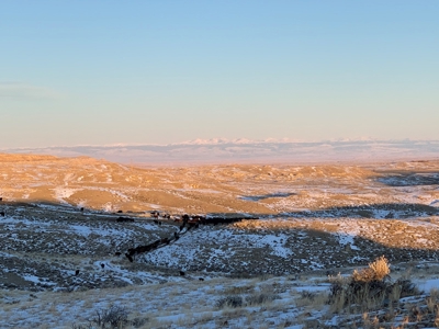 Cattle Ranch With Stunning Views For Sale in Northwest WY - image 7