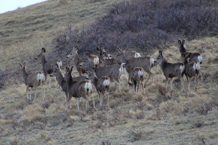 Cattle Ranch With Stunning Views For Sale in Northwest WY - image 14