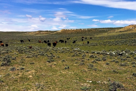 Cattle Ranch With Stunning Views For Sale in Northwest WY - image 3