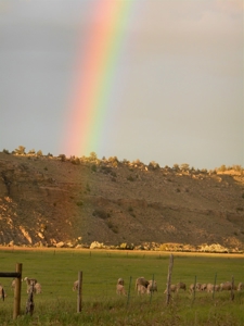Cattle Ranch With Stunning Views For Sale in Northwest WY - image 1