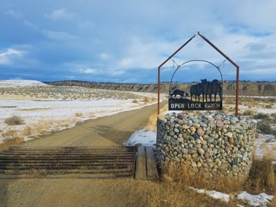 Cattle Ranch With Stunning Views For Sale in Northwest WY - image 9