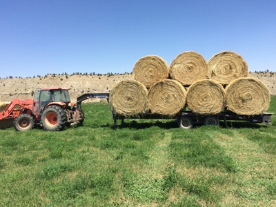 Cattle Ranch With Stunning Views For Sale in Northwest WY - image 6