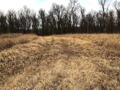 Riverfront Property For Sale! - image 5