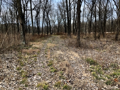 Riverfront Property For Sale! - image 6