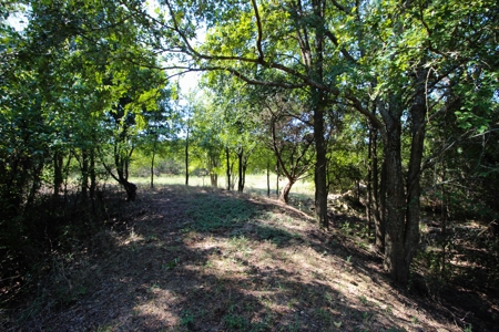 Land for Sale in Gatesville, Texas with Barndo and Hunting - image 5
